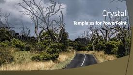  Presentation with nina - Theme consisting of dead-eucalyptus-trees-in-great background and a gray colored foreground