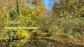  Presentation with dead leaves - Amazing slide deck having dead-fallen-leaves-floating backdrop and a tawny brown colored foreground