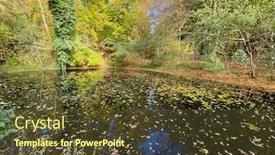  Presentation with dead leaves - Beautiful PPT layouts featuring dead-fallen-leaves-floating backdrop and a tawny brown colored foreground