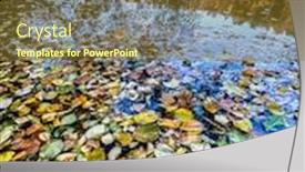  Presentation with dead leaves - Slide deck having dead-fallen-leaves-floating background and a tawny brown colored foreground