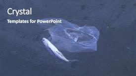  Presentation with water pollution - Theme having dead fish and water pollution background and a ocean colored foreground