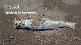  Presentation with lake fish - PPT theme featuring dead fish betpak dala desert background and a gray colored foreground