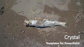  Presentation with kazakhstan - Cool new PPT layouts with dead fish betpak dala desert backdrop and a gray colored foreground