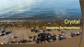  Presentation with heat - PPT layouts with dead fish from heat background and a tawny brown colored foreground