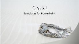  Presentation with fish waste handling - Presentation enhanced with dead fish in the desert background and a white colored foreground