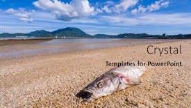  Presentation with seashore - PPT layouts enhanced with dead-fish-on-a-seashore background and a coral colored foreground