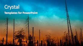  Presentation with storm - Presentation having sunset summer death - dead forest after storm background and a teal colored foreground
