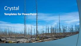  Presentation with forest fire - Slide deck consisting of dead-forest-landscape-8-years background and a teal colored foreground