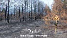  Presentation with chernobyl disaster - Slide deck consisting of dead forest near chernobyl area background and a gray colored foreground