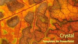  Presentation with drugs medical cannabis leaf - Presentation theme featuring dead leaves - camouflage leaf background background and a tawny brown colored foreground