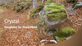  Presentation with dead leaves - PPT theme featuring dead leaves - forest in autumn background and a  colored foreground