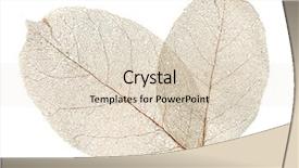  Presentation with dead leaves - Slides featuring dead leaves - leafs duet on a white background and a lemonade colored foreground