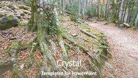  Presentation with shenandoah national park big meadows - Colorful slide set enhanced with dead leaves - roots in ordesa national park backdrop and a  colored foreground