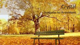  Presentation with part time job - Colorful slide deck enhanced with dead leaves - wooden park bench backdrop and a gold colored foreground