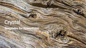  Presentation with old wood - Amazing PPT layouts having driftwood - background detail of old backdrop and a coral colored foreground