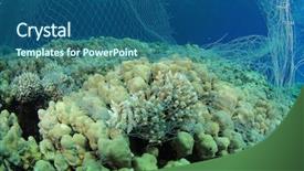  Presentation with fishing net - Slide set featuring environmental destruction - an illegal poacher' background and a ocean colored foreground