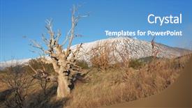  Presentation with oak tree - Amazing slide deck having dead oak tree and brooms backdrop and a  colored foreground