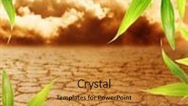  Presentation with floral - Presentation theme enhanced with dead soil with floral border background and a gold colored foreground