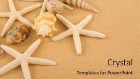  Presentation with starfish - Presentation theme enhanced with dead stars - starfish and seashells on golden background and a yellow colored foreground