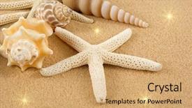  Presentation with seashells museum - PPT layouts featuring dead stars - starfish and seashells on golden background and a coral colored foreground