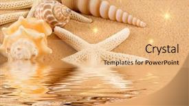  Presentation with sand ocean - Slides featuring dead stars - starfish and seashells on golden background and a coral colored foreground