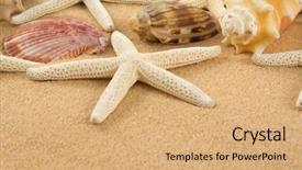  Presentation with pearls and oysters starfish - Colorful presentation theme enhanced with dead stars - starfish and seashells on golden backdrop and a coral colored foreground