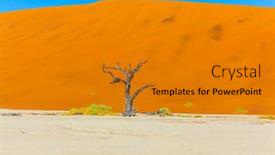  Presentation with lake - Presentation design enhanced with dead-tree-and-dead-lake background and a gold colored foreground