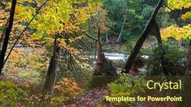  Presentation with tree river - Audience pleasing presentation theme consisting of dead-tree-by-running-water backdrop and a tawny brown colored foreground