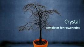  Presentation with growing tree - Theme enhanced with dead tree growing background and a ocean colored foreground
