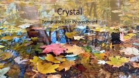  Presentation with dead leaves - Colorful presentation enhanced with various dead tree leaves backdrop and a yellow colored foreground