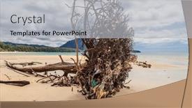  Presentation with thailand - PPT theme consisting of dead-tree-trunk-on-tropical background and a light gray colored foreground