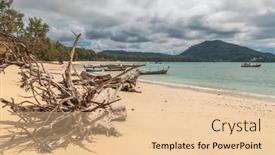  Presentation with thailand - Presentation having dead-tree-trunk-on-tropical background and a lemonade colored foreground