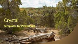  Presentation with trees - Audience pleasing presentation theme consisting of dead-trees-and-wood-laying backdrop and a tawny brown colored foreground