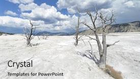  Presentation with hot springs - Audience pleasing slide deck consisting of dead-trees-stand-over backdrop and a light gray colored foreground