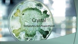  Presentation with petri dish - Amazing PPT theme having deadly diesease - petri dish growing bacteria backdrop and a mint green colored foreground