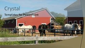  Presentation with ford - 