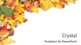  Presentation with colorful - Presentation theme enhanced with death anniversary - background with colorful wilted rose background and a  colored foreground