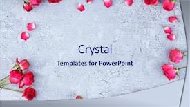  Presentation with singled green pink rose - Cool new presentation design with death anniversary - beautiful pink dried roses backdrop and a sky blue colored foreground