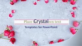  Presentation with singled green pink rose - Amazing presentation having death anniversary - beautiful pink dried roses backdrop and a  colored foreground