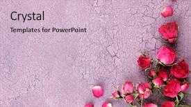  Presentation with pink roses - Slide set featuring death anniversary - beautiful pink dried roses background and a lemonade colored foreground