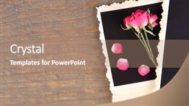  Presentation with pink roses - Beautiful presentation design featuring death anniversary - blank photo paper and beautiful backdrop and a  colored foreground