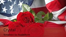  Presentation with roses - PPT theme enhanced with death anniversary - red roses and american flag background and a crimson colored foreground
