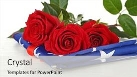  Presentation with american flag - Slide set consisting of death anniversary - red roses on american flag background and a sky blue colored foreground