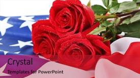  Presentation with roses - Cool new presentation with death anniversary - roses and american flag closeup backdrop and a crimson colored foreground