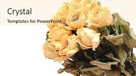  Presentation with animated rose - PPT layouts with death anniversary - withered rose bouquet background and a  colored foreground