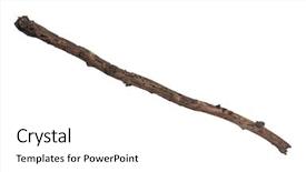  Presentation with single tree - Colorful PPT theme enhanced with death dying - single dry tree branch isolated backdrop and a white colored foreground