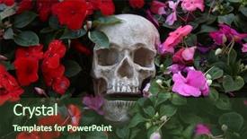  Presentation with human life cycle - PPT theme having death dying - skull with flowers halloween human background and a tawny brown colored foreground