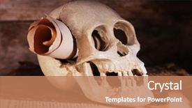  Presentation with skull - Presentation consisting of death note - still life with human skull background and a coral colored foreground