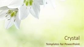  Presentation with abstract death - Amazing presentation having death row - abstract spring background with bokeh backdrop and a soft green colored foreground