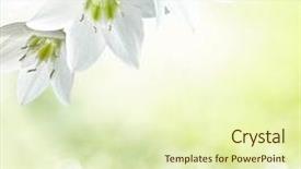  Presentation with abstract death - Cool new presentation theme with death row - abstract spring background with bokeh backdrop and a soft green colored foreground